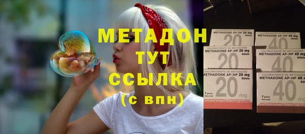 прущие грибы Гусь-Хрустальный