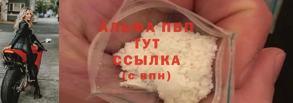 прущие грибы Гусь-Хрустальный