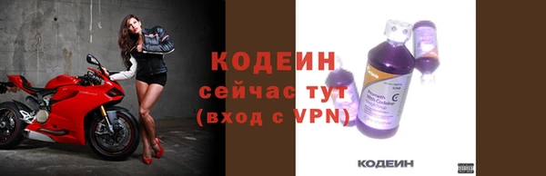 прущие грибы Гусь-Хрустальный