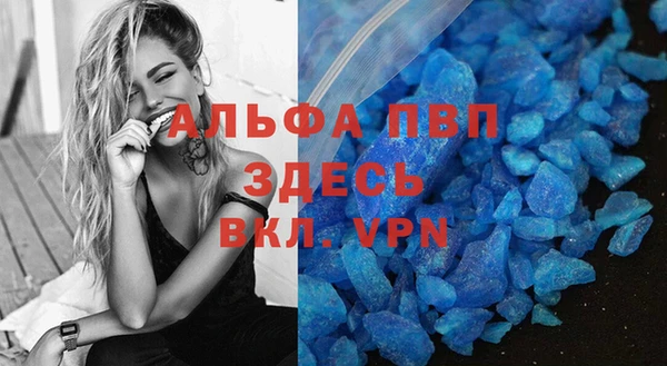 прущие грибы Гусь-Хрустальный
