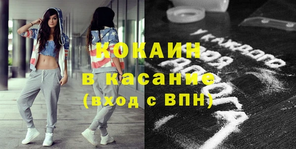 прущие грибы Гусь-Хрустальный