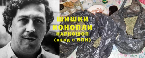 прущие грибы Гусь-Хрустальный