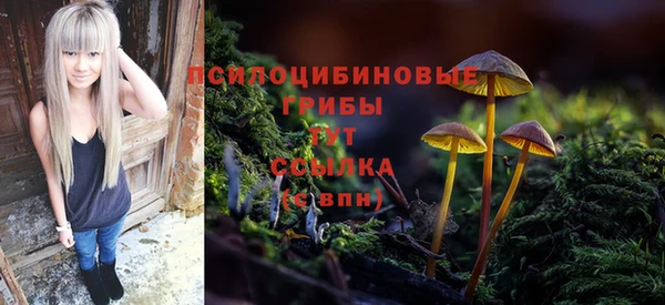 марки nbome Гусев