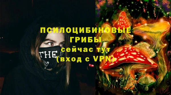 прущие грибы Гусь-Хрустальный