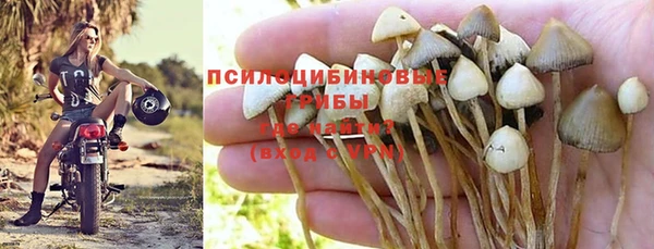 марки nbome Гусев