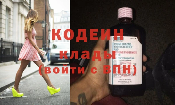 прущие грибы Гусь-Хрустальный